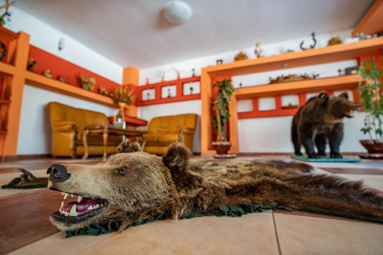 Pensiunea Sura Dacilor - Alex Poiana Brasov Buitenkant foto
