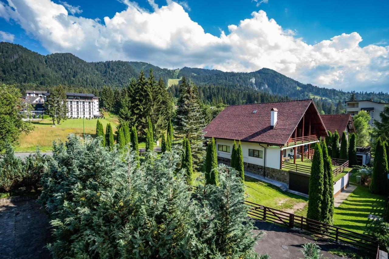 Pensiunea Sura Dacilor - Alex Poiana Brasov Buitenkant foto