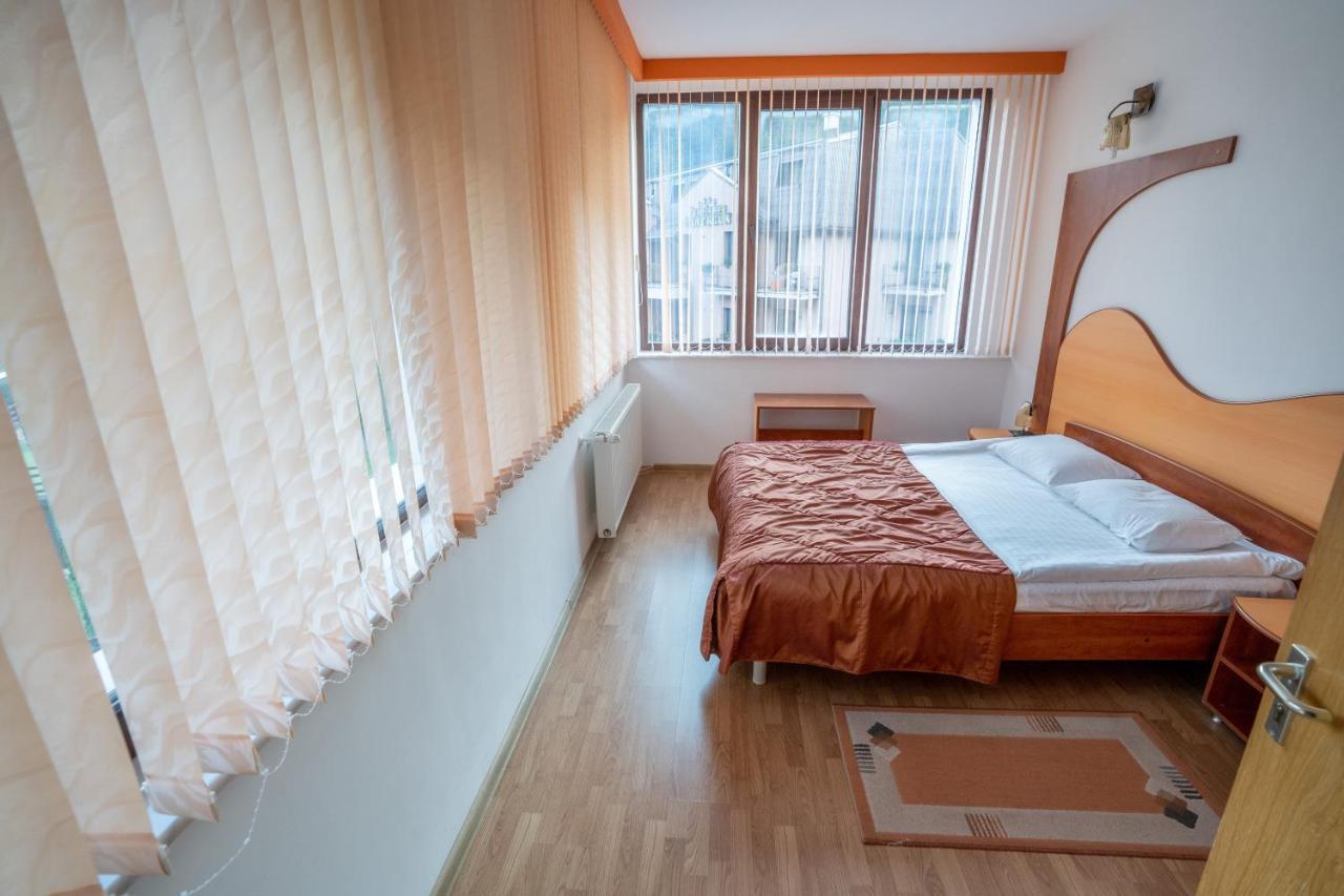 Pensiunea Sura Dacilor - Alex Poiana Brasov Buitenkant foto