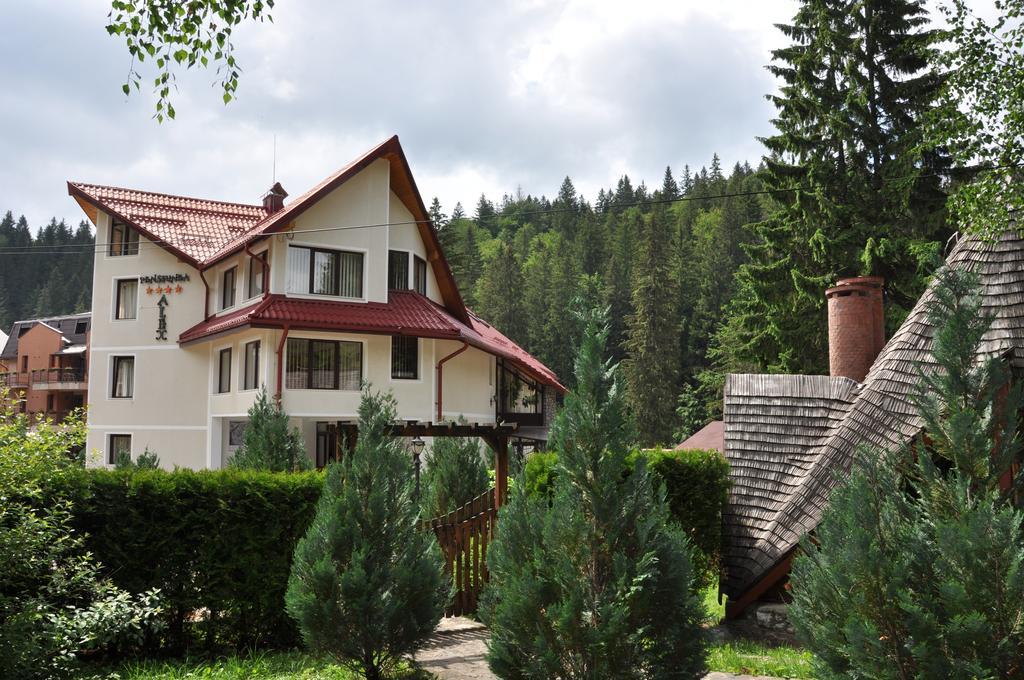 Pensiunea Sura Dacilor - Alex Poiana Brasov Buitenkant foto